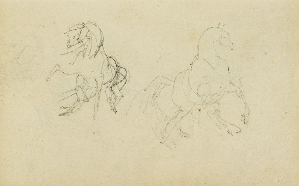 Two studies of a rearing horse