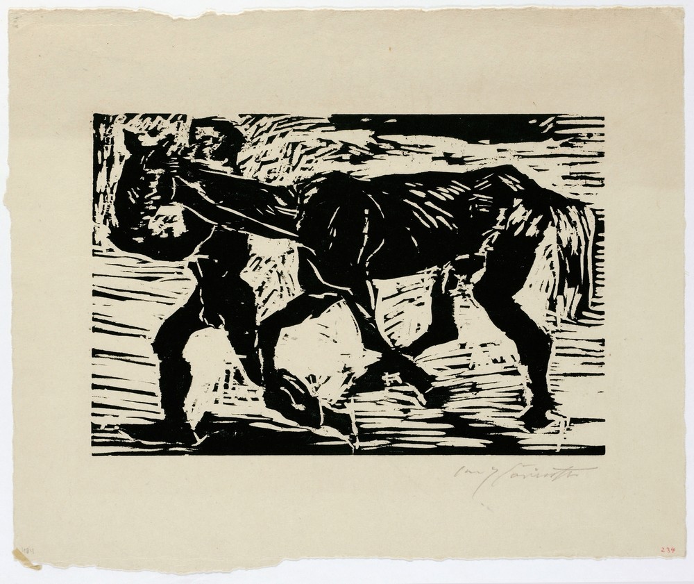 Mann Und Pferd