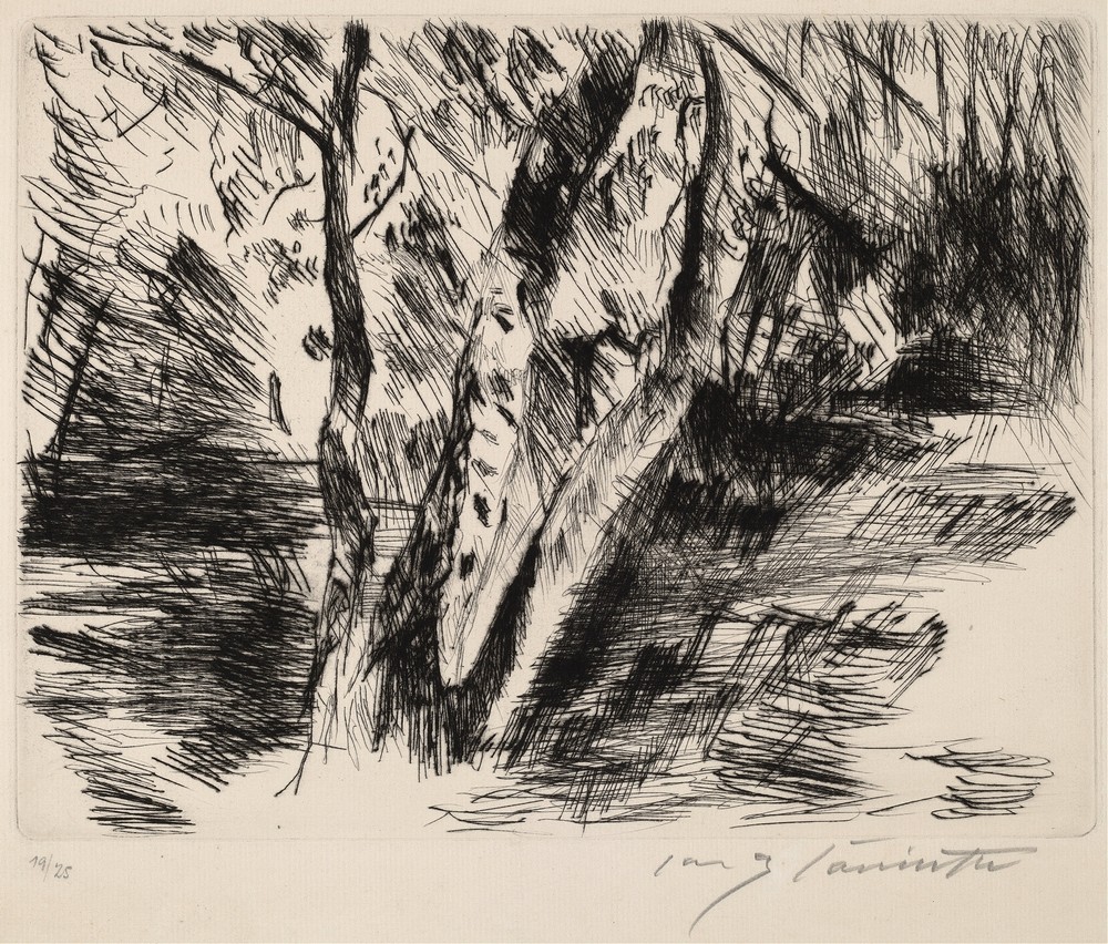 Birch Trees in the Tiergarten